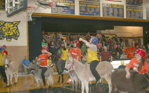 Hee-haw! Donkey basketball game raises funds for Whiteford After Prom